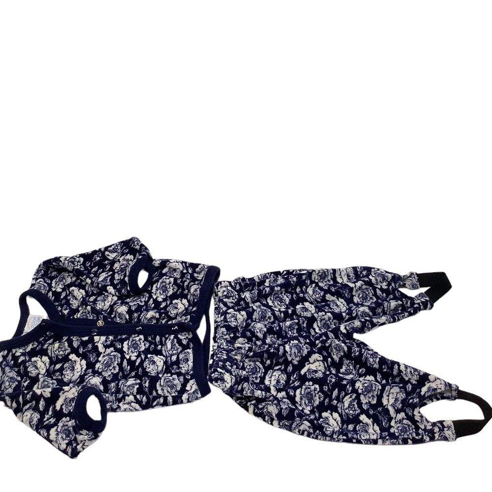 Mine Alone Girls Size 3/6 Months 2 Piece Outfit Blue White‎ Roses Pants Top snap